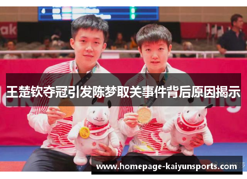 王楚钦夺冠引发陈梦取关事件背后原因揭示 王楚钦夺冠引发陈梦取关事件背后原因揭示